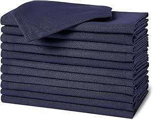 Amazon Basics Reusable Stain and Wrinkle Repellent Cloth Napkins, 12 Pack, 17 x 17 inches, Blue